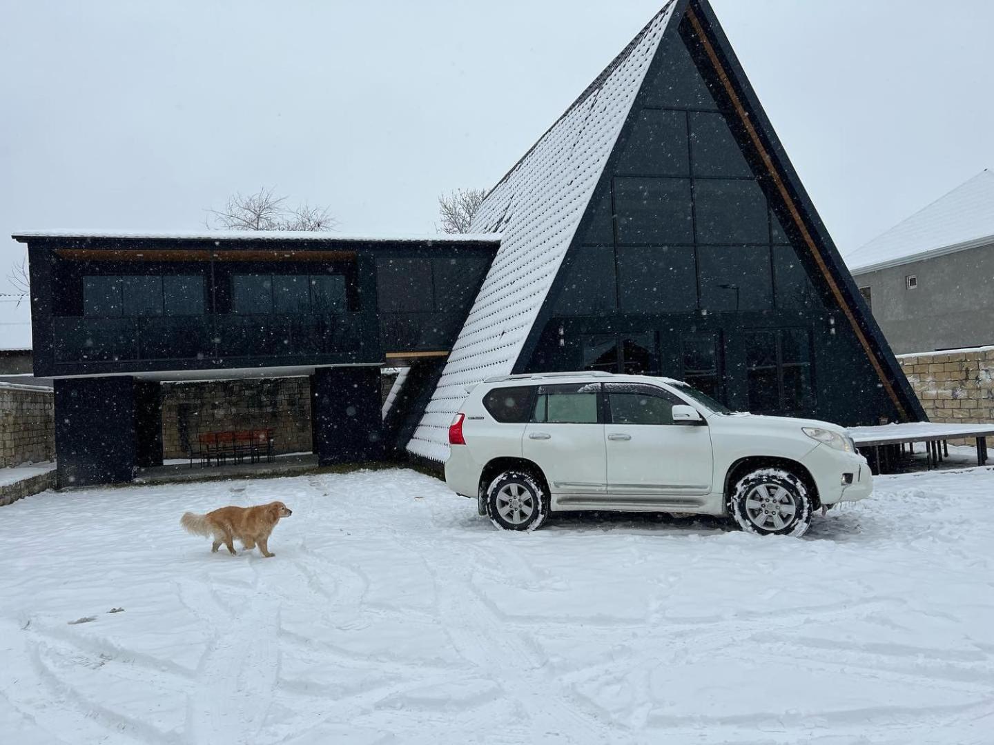 Qafqaz Wood Chalet Qəbələ Exterior foto